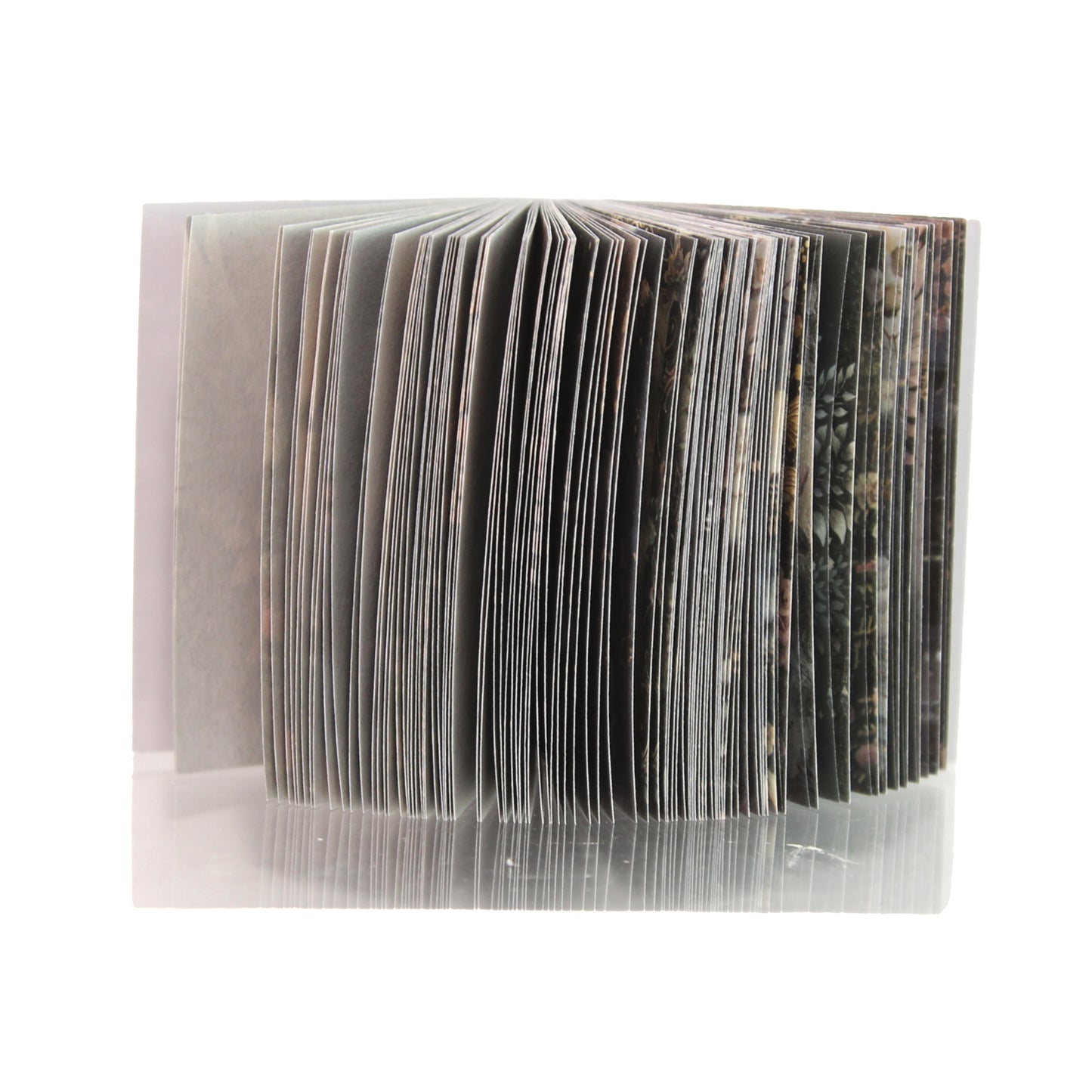 The Butterfly Nocture | Black Mini Magi Book