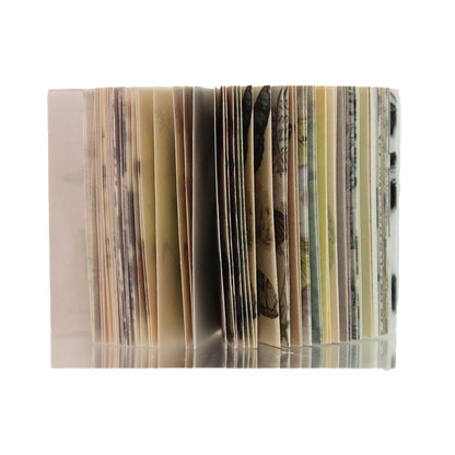 Butterfly | Earth Mini Magi Book