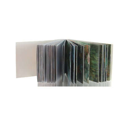 Fantastic Sea | Green Mini Magi Sticker Book