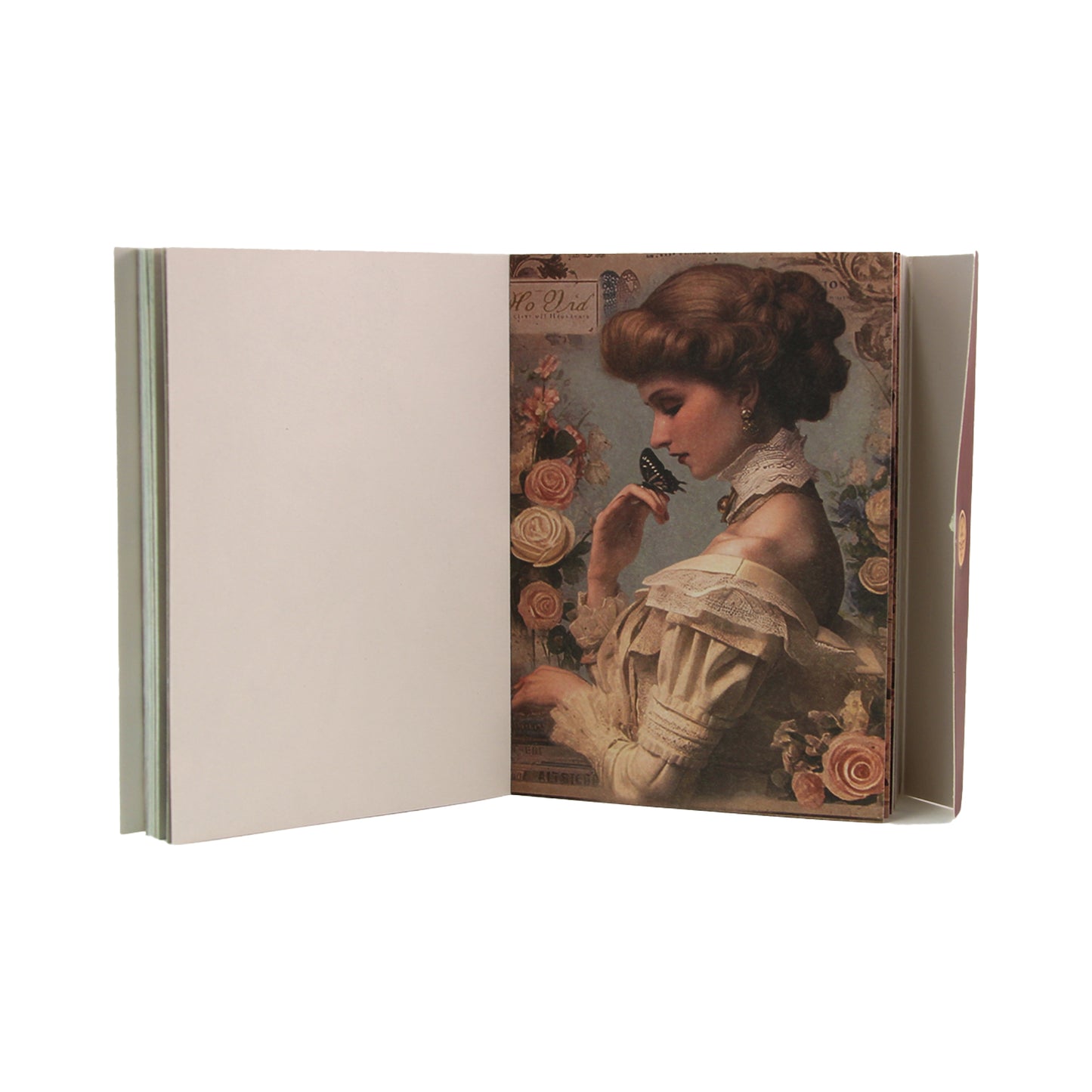 The Rose Manor | Stout Ornamental Paper